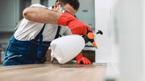 Best Pest Control for Multi-Family Homes  in Trowbridge Park, MI